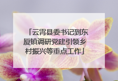 云霄县委书记到东厦镇调研党建引领乡村振兴等重点工作